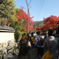 ��T�����n��