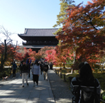 ��T�� �g�t