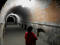 �˂���܂��