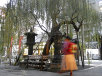 ���@�� �Z�p��