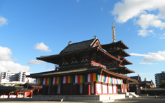 �l�V���� ����