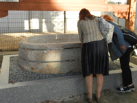 �l�V���� �Α�