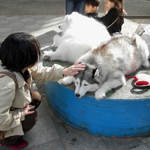 ��K�X��Q����