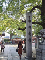 ��K�X�V�_�{