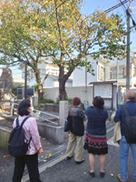 ��̂͂���