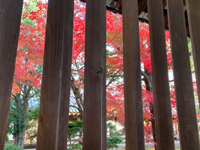 �@���� �g�t