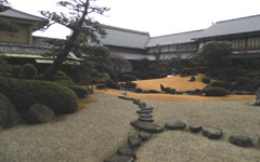 �l�V���� ��ɗ��̒�