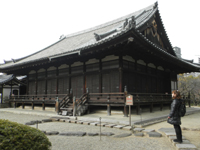 �l�V���� ��ɗ��̒�