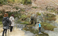 �l�V���� �Ɋy��y�̒�