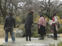 �l�V���� �Ɋy��y�̒�