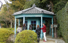 �l�V���� ���p��