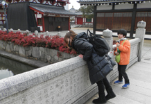 �l�V���� �T�̒r