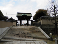 �l�V���� ����