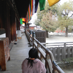 �����牮���K