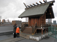 �F�X�{ ����