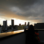 �F�X�{ ����