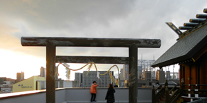 �F�X�{ ����