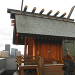 �F�X�{ ����