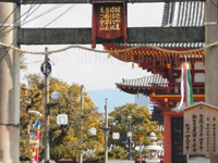 �l�V���� ����