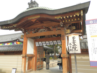 ����@ �Ղ̖�