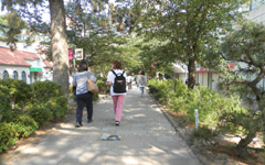 ��� �Ԃ݂̂�