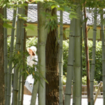 �Ռ؎R�L�ˎ�