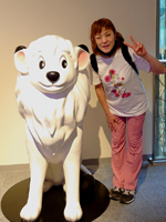 �W�����O����� ���I