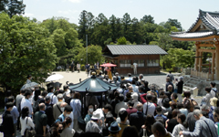 ���������a��