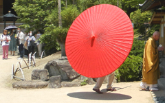 ���������a��