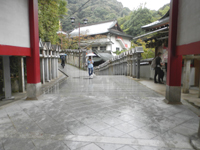 ���쑷�q�� �Ԗ�