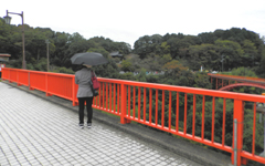 �M�M�R �J�^��