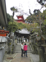 ���쑷�q��  ����