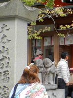 ���쑷�q�� �����@