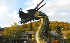 �b���� ��