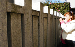 �����牮�̕�