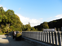 ���_�V�c��