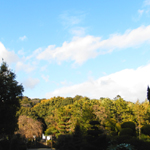 ���_�V�c��