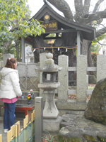 �_������