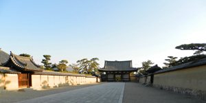 �@���� ����