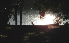 �����_��