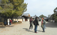 �����{��