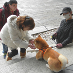 �@���� �Č�