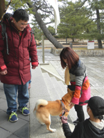 �@���� �Č�