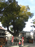 �Q����s ����_��