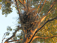 �Q����s ���^�K���X