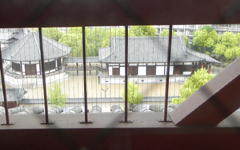 �l�V���� �܏d��