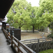 �l�V���� ����@