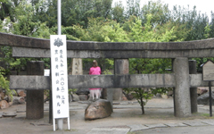 �ʑ���א_�� ����