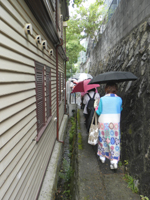 ���C���̊�