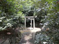 �O������